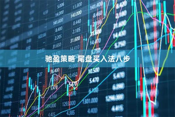 驰盈策略 尾盘买入法八步